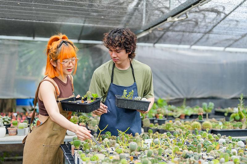 Young Gen Z Men and Women Caring for Cactus Farm