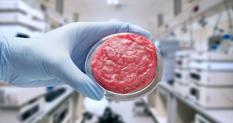 Close-up-of-scientist-showing-cultured-meat-sample-in-lab